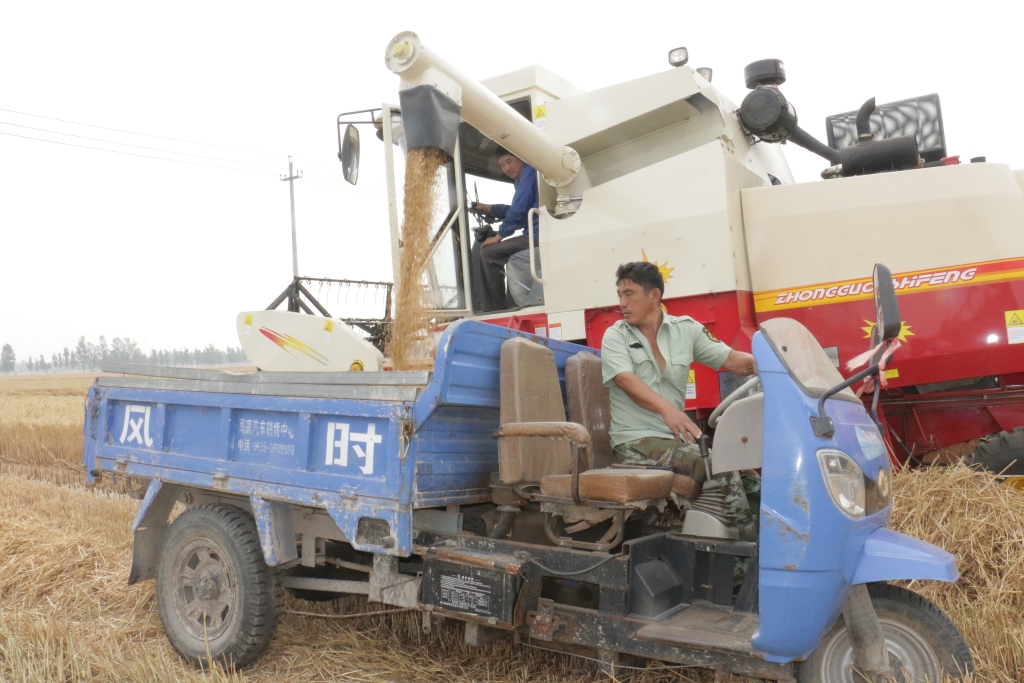 必发888(唯一)官方网站